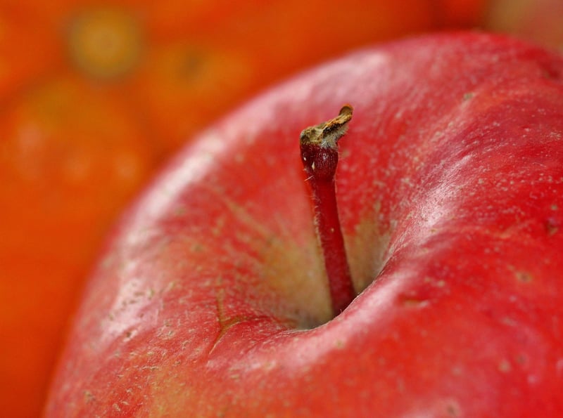 Healthy Food Choices